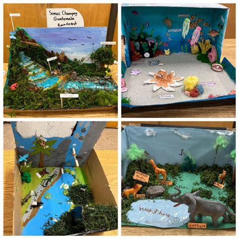 Habitat Dioramas - St. Mary's French Immersion