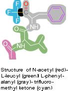 Chymotrypsin - Proteopedia, life in 3D