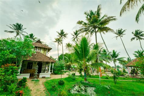 Alleppey Beach Resort Holiday Packages | Ayurveda Beach Resort