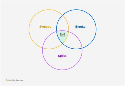 Options Order Flow: Everything You Need To Know - Cheddar Flow