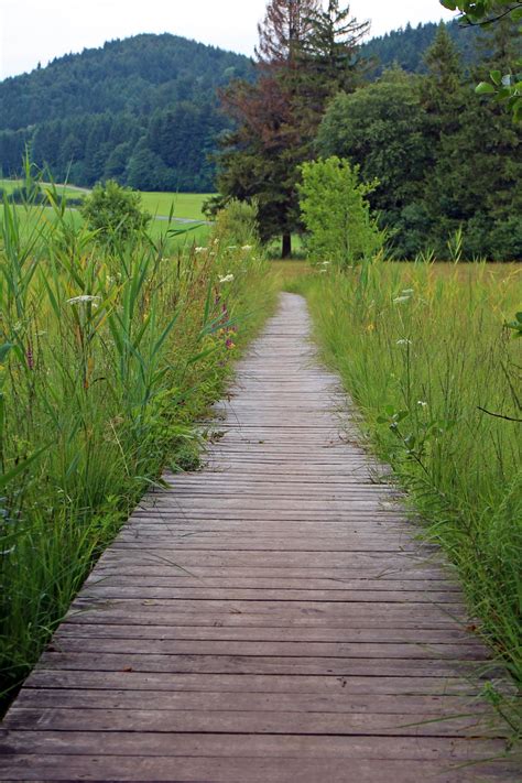 Free Images : nature, path, grass, trail, meadow, river, canal, walkway, web, stream, waterway ...