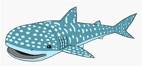 Whale Shark Clipart - Whale Shark Clipart Png, Transparent Png - kindpng