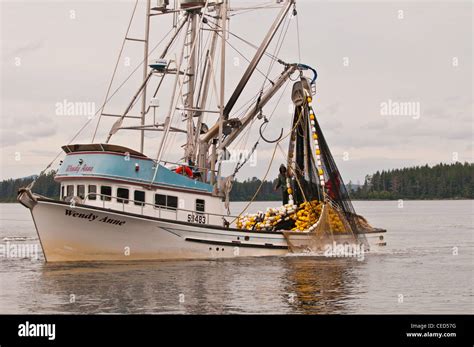 Salmon Purse Seine fishing, Sitka, Alaska Stock Photo - Alamy