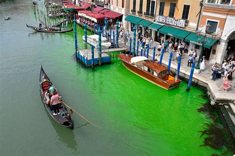 Mystery behind bright green water in Venice Canal solved, officials say - ABC News