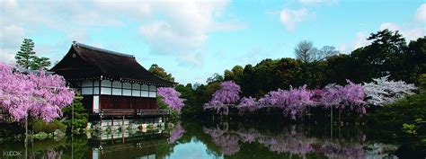 Arashiyama, Tenryuji Temple, Ninnaji Temple Kyoto Cherry Blossom Tour - Klook