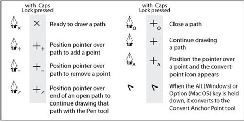 Adobe Illustrator Pen Tool - KylasrHuynh