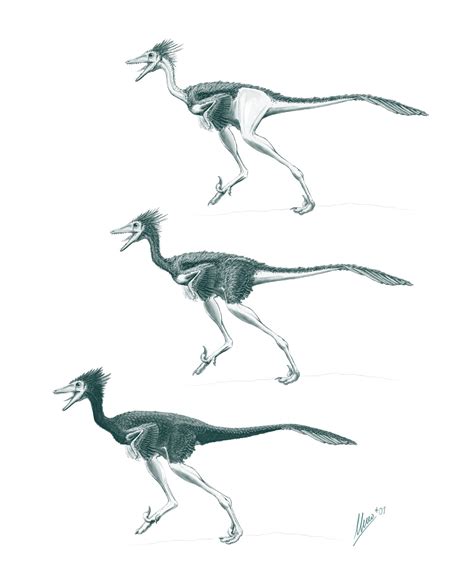 Troodon formosus feathered | Digital artist, Feathered, Dinosaur fossils