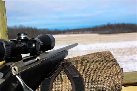 Top 10 Coyote Hunting Rifles (including price and specs) – Backfire