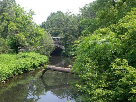 Bronx River Alliance: Bringing New Life to the Bronx River - Great Performances