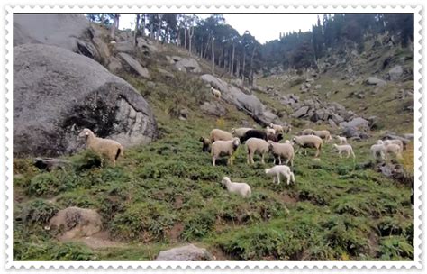 Kareri Lake, Kangra Distt, Lakes in Himachal Pradesh