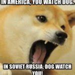 mad doge Meme Generator - Imgflip