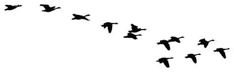 Download #FF9807 Flock Of Flying Geese Silhouette SVG | FreePNGImg