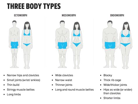 Body Types - Society of Meaningful Life Management