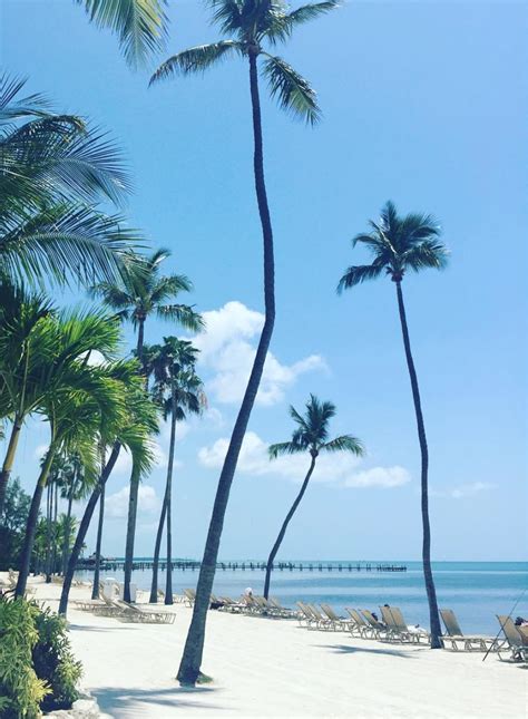 Cheeca Lodge beach | Photo from IG user ccroldan Florida Keys Resorts ...