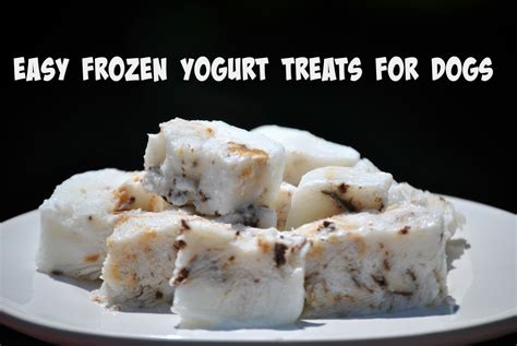 Easy Frozen Yogurt Dog Treats - mybrownnewfies.com