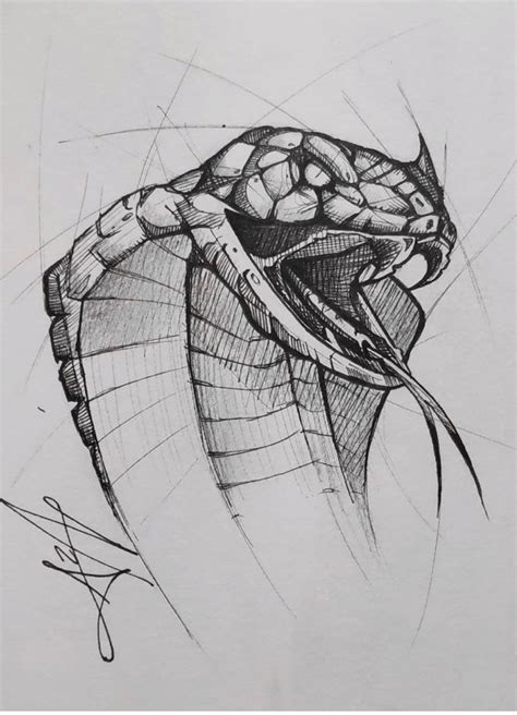 Pin by Andra Elena on Dibujo | Snake sketch, Snake drawing, Sketches