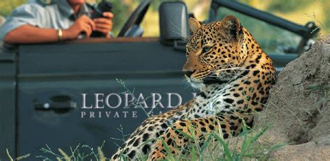 Leopards at Leopard Hills in South Africa Exclusive Resort, Exclusive Travel, South African ...