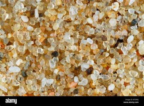 Close-up of grains of sand Stock Photo - Alamy