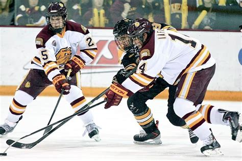 New tournament spotlights Minnesota college hockey - Duluth News ...