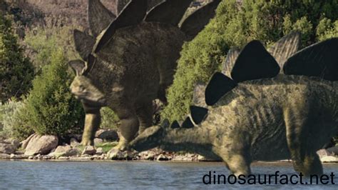 Stegosaurus dinosaur