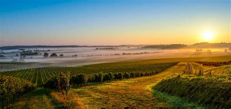 Private Bordeaux Wine Tours & day Trips from Le Verdon Cruise Port