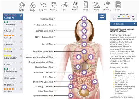 Bioenergetic Therapy for Advanced Energy Healing – Headway Health