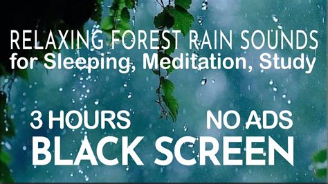 3 Hours Relaxing Forest Rain Sounds for Sleeping, Meditation, Study Black Screen - YouTube