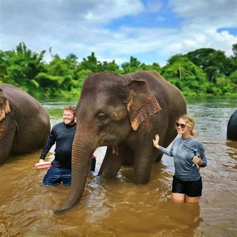 Bangkok Elephant Care Sanctuary