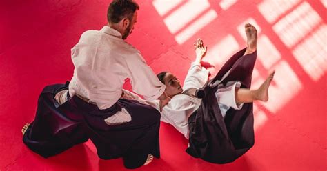 Taijutsu 'Body Techniques' aka hand-to-hand techniques Good Aikido