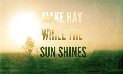 Quotes - "MAKE HAY WHILE THE SUN SHINES." | Quotes | Pinterest | Sun ...