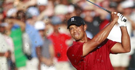 Tiger Woods 'Tiger Slam' irons, wedges up for auction