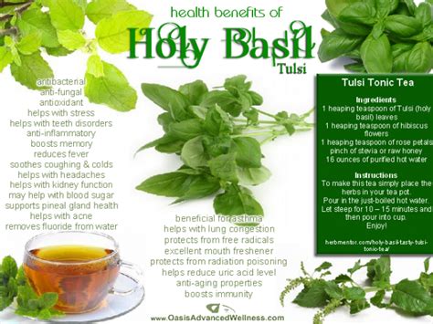 Health & nutrition tips: Health benefits of basil