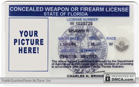 Florida's Concealed Carry Weapons Permit Fast-Track Process Could Spread to Other States