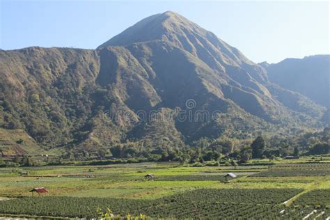 View of the Sembalun Village of Lombok, Mount Rinjani, the Hills of ...