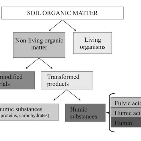 Principal components of soil organic matter. Adapted from FAO, 2005. | Download Scientific Diagram