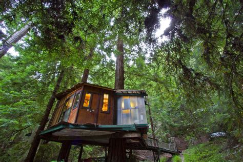 4 cozy treehouse getaways | Treehouse cabins, Glamping site, Glamping spots