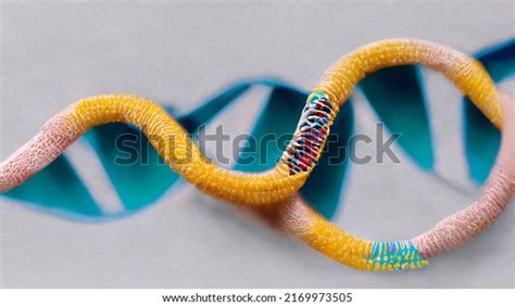 Dna Gene Editing Crispr-cas9 Technology Dna Stock Illustration ...