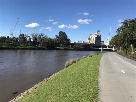 Yarra Trail the other week! : r/melbourne