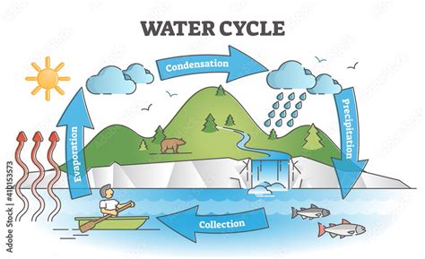 Water cycle diagram with simple rain circulation explanation outline concept Stock Vector ...