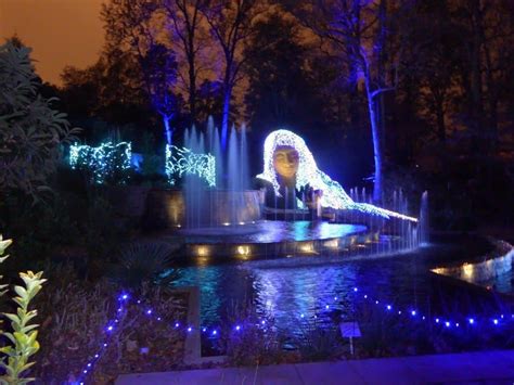 Atlanta Botanical Garden Holiday Lights