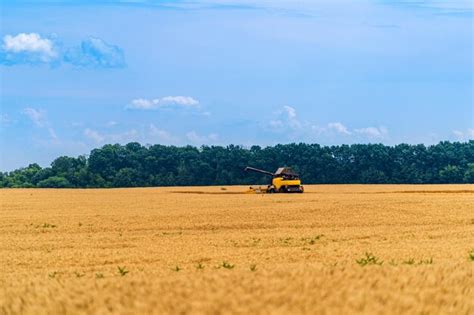 Premium Photo | A beautiful landscape with a tractor harvesting wheat a ...