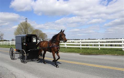 Hotels near Amish Country in Lancaster, PA - Choice Hotels