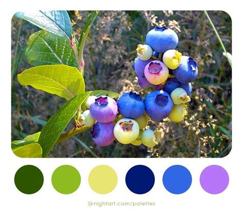 Blueberries colour palette by L.J. Knight. See more at https ...