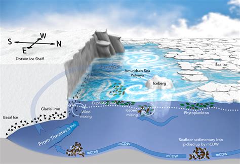 Exploring the links between melting ice and ecosystems