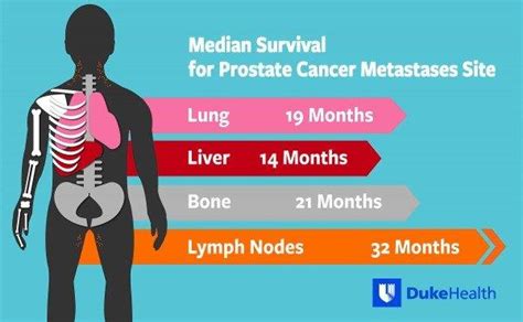 Liver Cancer Spread To Bones Prognosis - CancerWalls