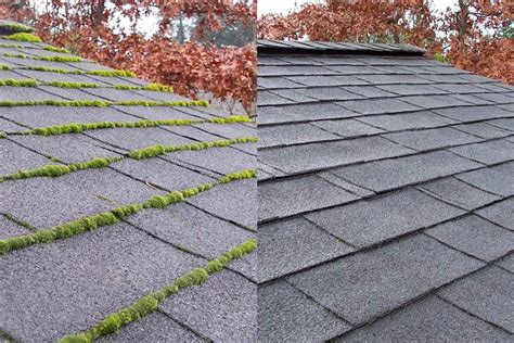 Roof Moss Removal in Portland, OR | Roof Cleaning Service