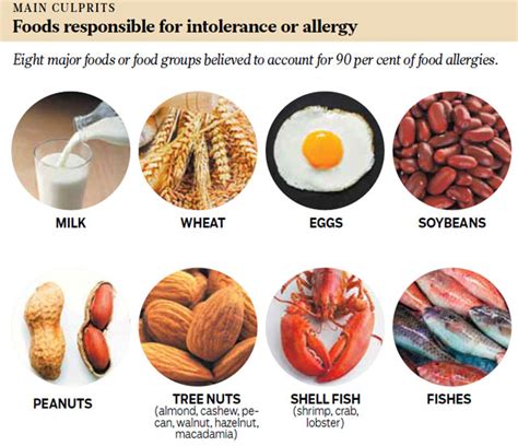 Can Food Allergies Cause Speech Disorders?: Ear Infections Caused by Diet Can Contribute to ...