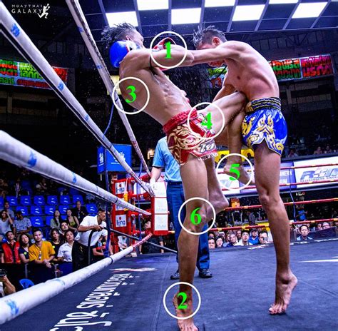 Effective Muay Thai techniques: how to dominate in the ring | Muay thai ...