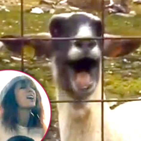 You Can’t Get Taylor’s Goat! Swift Shares ‘Trouble’ Parody Poking Fun ...