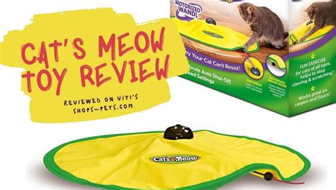 Cat’s Meow Toy Review | Shops Pets